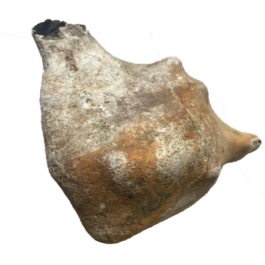 Marie Salcedo Horn