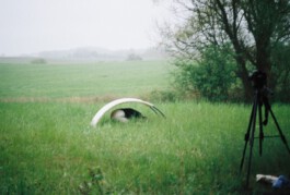 Marie Salcedo Horn
