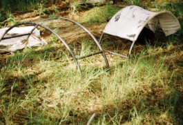 Marie Salcedo Horn